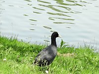 Abstecher in den Schlosspark Bild: Abstecher in den Schlosspark
