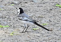 Abstecher in den Schlosspark Bild: Abstecher in den Schlosspark