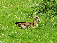 Abstecher in den Schlosspark Bild: Abstecher in den Schlosspark