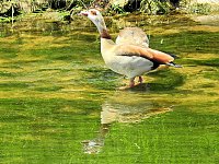 Abstecher in den Schlosspark Bild: Abstecher in den Schlosspark