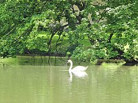 Abstecher in den Schlosspark Bild: Abstecher in den Schlosspark