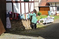 Über 100 Künstler zeigen was sie können Bild: Über 100 Künstler zeigen was sie können