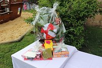 25 Jahre "Arche Noah" Bild: 25 Jahre "Arche Noah"