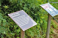 Klingender Wanderweg übergeben Bild: Klingender Wanderweg übergeben