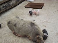 WB 4 auf dem Possen – eine Erlebniswelt Bild: WB 4 auf dem Possen – eine Erlebniswelt
