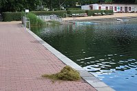 Grasmahd im Bebraer Teich Bild: Grasmahd im Bebraer Teich