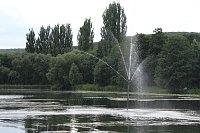 Grasmahd im Bebraer Teich Bild: Grasmahd im Bebraer Teich