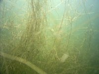 Bushaltestellen entfallen und Gras gerupft Bild: Bushaltestellen entfallen und Gras gerupft