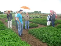Landesfest Thüringen der Gartenfreunde Tag des Gartens 2016 groß gefeiert Bild: Landesfest Thüringen der Gartenfreunde Tag des Gartens 2016 groß gefeiert