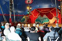 Bild: Ruhetag hei&szlig;t nicht Ruhe im Zirkus
