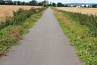 Da wächst etwas zu! Bild: Da wächst etwas zu!