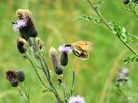 Bild: Peter Blei unterwegs - diesmal in der freien Natur und im Jugendwaldheim Rathsfeld
