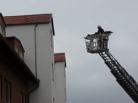 Bild: Feuerwehr&uuml;bung Stockhausen