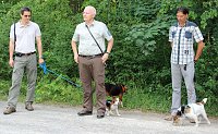 "Südländische Bäume im Possenwald" Bild: "Südländische Bäume im Possenwald"