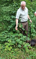 "Südländische Bäume im Possenwald" Bild: "Südländische Bäume im Possenwald"