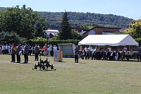 Bild: Traumhaftes Sommerwetter bei Vereidigung