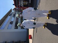 Rettungskräfte Bild: Rettungskräfte