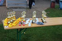 Stadtparklauf Bild: Stadtparklauf