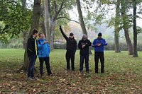 Stadtparklauf Bild: Stadtparklauf