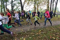 Stadtparklauf Bild: Stadtparklauf