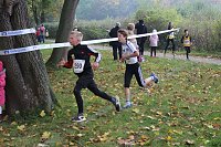 Stadtparklauf Bild: Stadtparklauf