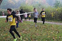 Stadtparklauf Bild: Stadtparklauf
