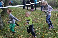 Stadtparklauf Bild: Stadtparklauf