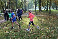 Bild: Die langen Strecken beim Stadtparklauf