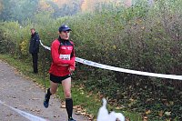 Bild: Die langen Strecken beim Stadtparklauf