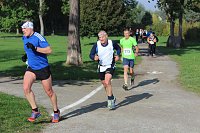 Bild: Die langen Strecken beim Stadtparklauf