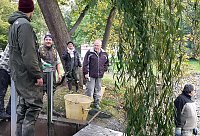 Bild: M&uuml;llabladeplatz Schlosspark?
