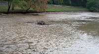 Bild: M&uuml;llabladeplatz Schlosspark?