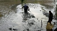 Bild: M&uuml;llabladeplatz Schlosspark?