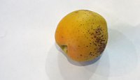 Seltsame Frucht Bild: Seltsame Frucht