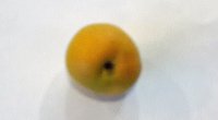 Seltsame Frucht Bild: Seltsame Frucht