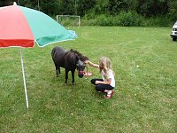 Bild: Dorffest Bebra