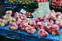 Bild: Aktionstag auf dem Markt von Sondershausen