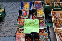 Bild: Aktionstag auf dem Markt von Sondershausen