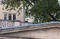 Bild: Hupkonzert und mehr