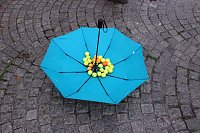 Bild: Hupkonzert und mehr