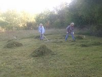 Mahd gegen den Gipsabbau Bild: Mahd gegen den Gipsabbau