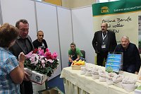 Bild: 15. Berufsinfotage 2015 mit Jubil&auml;um