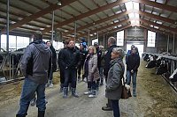 Bild: Kita Kids vom Kindernest auf "kuhler" Entdeckertour!