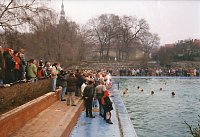 Die Rückkehr der Eisbader! … Bild: Die Rückkehr der Eisbader! …
