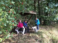 Herbstwanderung des Sondershäuser Hundevereins Bild: Herbstwanderung des Sondershäuser Hundevereins