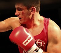 Bild: Grandiose Boxnacht in Nordhausen