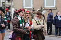 Bild: N&auml;rrinnen und Narren ziehen durch die Stadt (2)