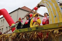 Bild: N&auml;rrinnen und Narren ziehen durch die Stadt (2)