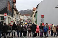 Bild: N&auml;rrinnen und Narren ziehen durch die Stadt (2)
