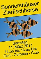 Weil wir für einen guten Zweck kicken Bild: Weil wir für einen guten Zweck kicken